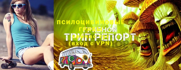 mdpv Зеленодольск