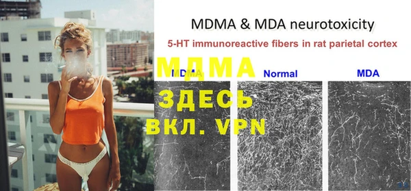 мдпв Инта